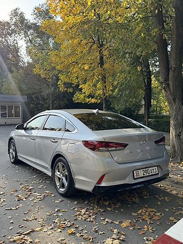 yuan up: Hyundai Sonata: 2019 г., 2 л, Автомат, Бензин, Седан — 7