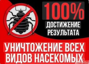 травля насекомых: Дезинфекциялоо, дезинсекциялоо, | Жертөлө, ороо