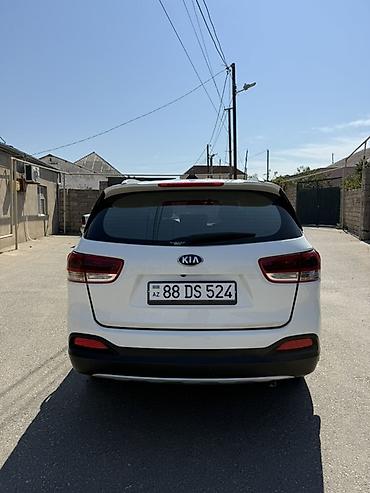 Kia: Kia Sorento: 2 л | 2016 г. Внедорожник — 8