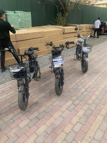 электровелосипедов: Электровелосипед