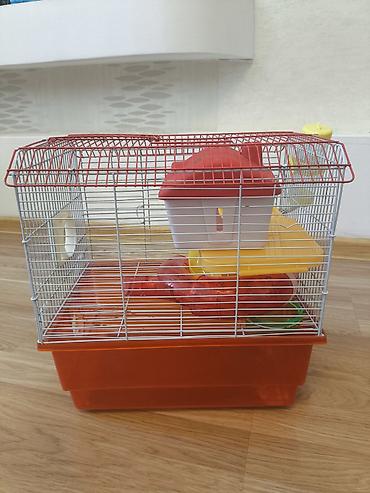 hamster near me: Ev siçanı(xomyak) üçün işlənmiş qab. Su qabi, evi və piləknları — 4