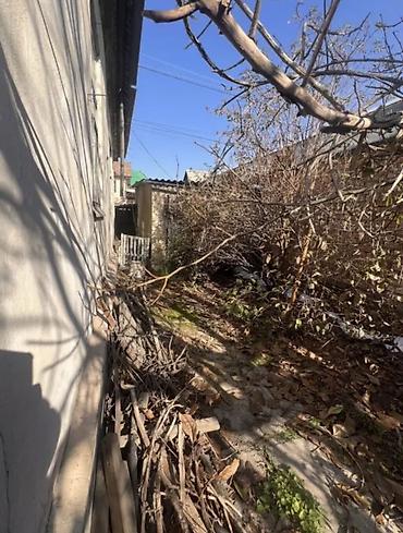 Продажа коттеджей и домов: 🏡 Продается дом/участок в хорошем районе — ул. Шукурова / Ахунбаева! — 9