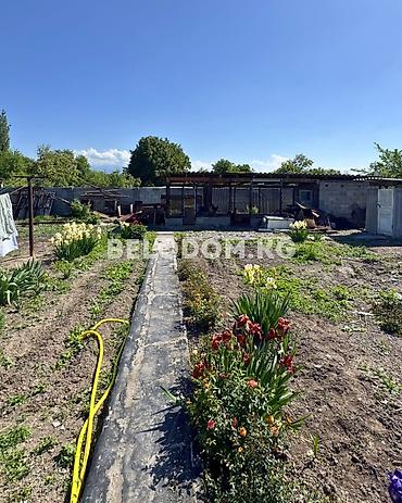 цены в бишкеке: 🏠Продается дом в Беловодское Верхняя зона, район Ак Суу 🟡 4 - жилых — 2