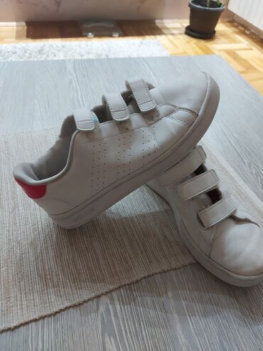 kitten obuca: Champion, Size - 34