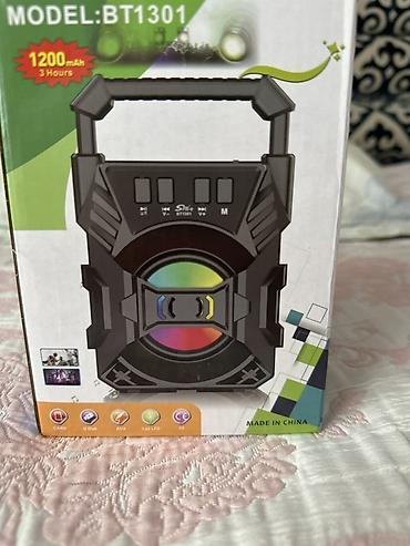 se electronics: Портативная акустическая система Sing-e BT1301/BT1305 - Встроенный — 4