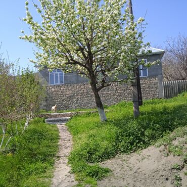 ivanovka kiraye evler: 2 otaqlı, 100 kv. m, Kredit yoxdur, Orta təmir