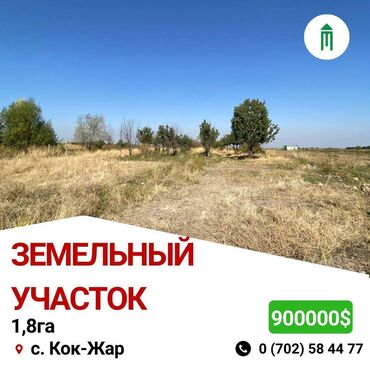кочкор ата участок: 180 соток