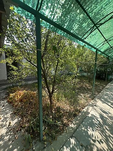 Жер тилкелери: 4650 соток, Курулуш, Кызыл китеп — 5