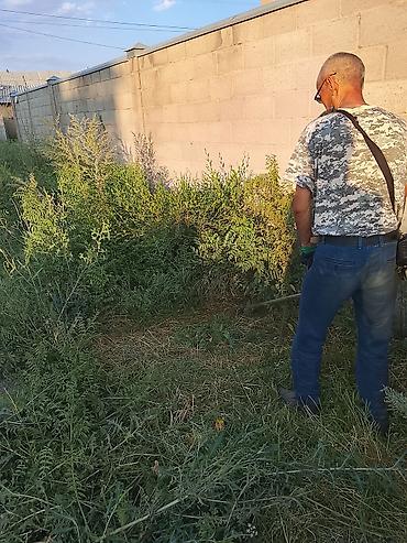 Клининговые услуги: Уборка территории, Стрижка газона — 3