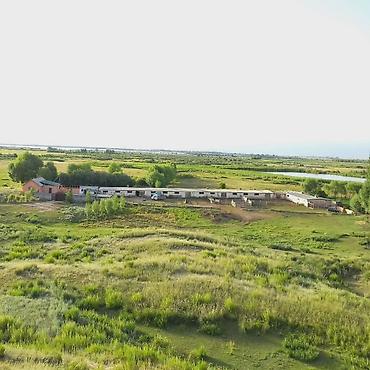 Продажа коттеджей и домов: Продается ферма в Джети-Огузском районе, Иссык-Кульская область — 4