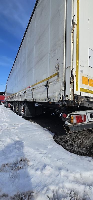 Тягачи: Тягач, DAF, 2019 г., Тентованный — 19