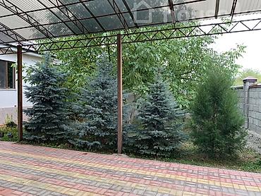 цум подвал: 4 комнаты, 147 м², 8 соток, Бишкек, Собственник — 3