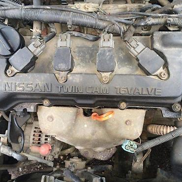 Stakla za auto: STAKLA ZA NISSAN ALMERA N16 | Zvati od 8-22h i nedeljom. Originalna — 2