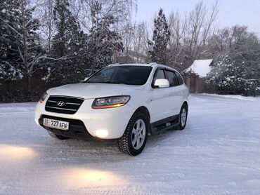 hyundai porter продажа: Hyundai Santa Fe: 2009 г., 2.2 л, Автомат, Дизель, Кроссовер