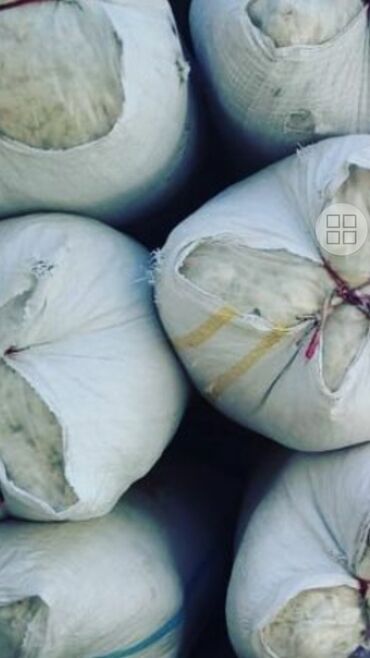 Yun: Yun satişi satışda yuyulmuş şamaxı yunu var qiymətlər keyfiyyətə — 6