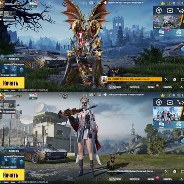профессиональная краска для волос: Продажа игрового аккаунта PUBG Mobile. Основные особенности: -