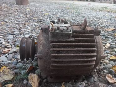 qizil baliq qiymeti: Motor 3 faza