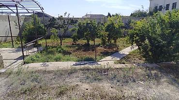 Продажа дач: Satılır: Məştağada bağ evi və torpaq sahəsi satılır -10 sot torpaq və — 3