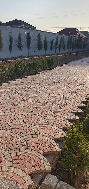 bağban vakansiya 2026: Bağban, 44 yaş, 5 ildən artıq təcrübə — 9