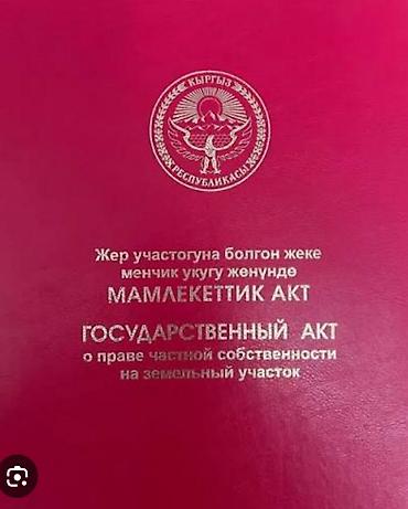 толстого: 2 соток, Красная книга — 1