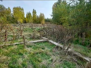 бакай ата ж м: 15 соток, Курулуш, Кызыл китеп — 1