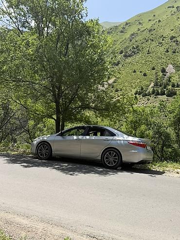camry 55 exclusive: Toyota Camry: 2016 г., 2.5 л, Автомат, Бензин, Седан — 5