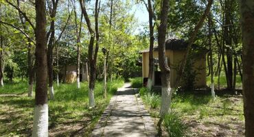 Kommersiya daşınmaz əmlakının satışı: Qusar şəhərində(200 sot) Şahdağa gedən yolun Qusar çayının sol — 6