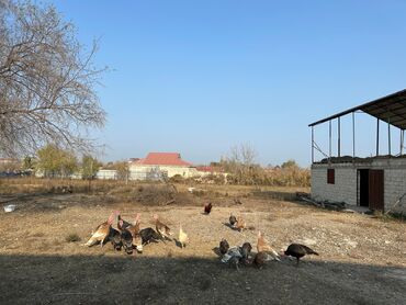 Həyət evləri və villaların satışı: 5 otaqlı, 160 kv. m, Kredit yoxdur, Orta təmir -da lalafo.az — 13 Həyət evləri və villaların satışı: 5 otaqlı, 160 kv. m, Kredit yoxdur, Orta təmir — 13