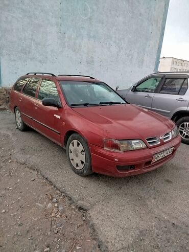 молдинги на пассат: Nissan Primera: 1998 г., 2 л, Механика, Дизель, Универсал