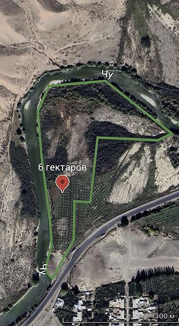 дачи сары жон: 600 соток Электричество, Водопровод — 1
