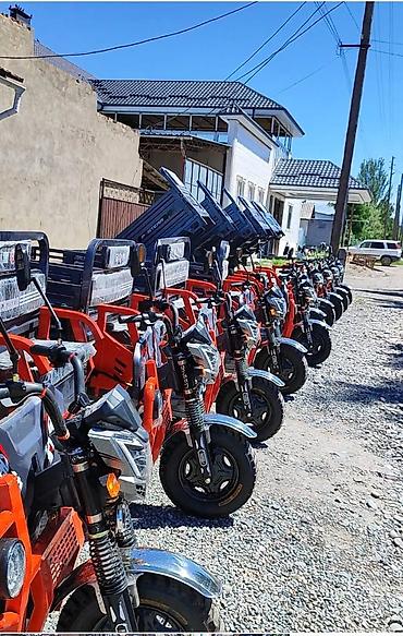 Мотороллеры муравей: Мотороллер муравей Электро, 60 км, 1500 кг и более, Новый, В рассрочку — 2