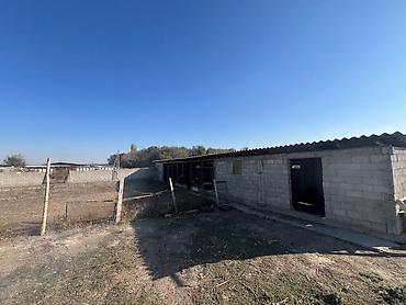 сарай для крс: Сдаю Сарай, 40 голов, 20 соток, Водопровод — 3