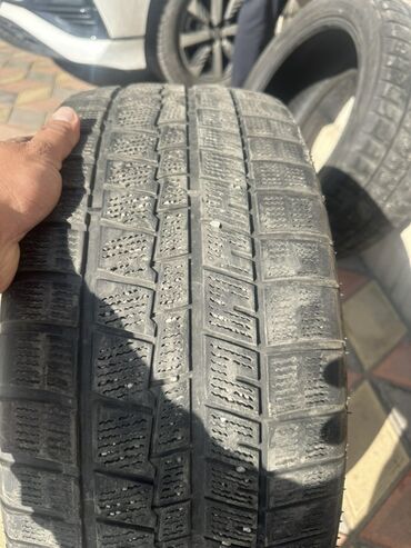 колесо на мини трактор: Шиналар 225 / 55 / R 17, Winter stud, Жуп, Жеңил унаалар