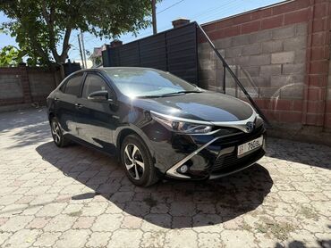 электромобиль neta: Toyota Corolla: 2019 г., 1.8 л, Автомат, Гибрид, Седан