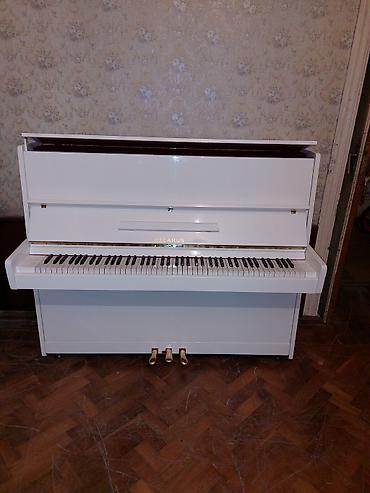 Musiqi alətləri: Piano, Belarus, Akustik, Yeni, Pulsuz çatdırılma — 2