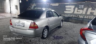 королла 2001: Toyota Corolla: 2001 г., 1.6 л, Автомат, Бензин, Седан