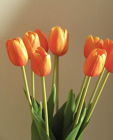 Цветы и букеты: ТЮЛЬПАНЫ ТЮЛЬПАНЫ ТЮЛЬПАНЫ на 8 марта. Бронь - Палитра: ярко‑желтые — 8