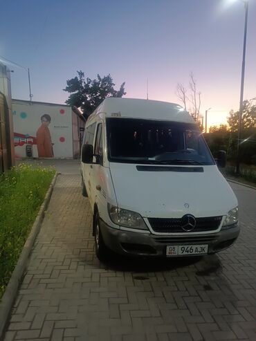 спринтер пассажирский дельфин: Mercedes-Benz Sprinter: 2003 г., 2.9 л, Механика, Дизель, Бус