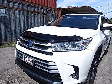 афто зонтик: Мухобойка на капот Toyota, 2019 г., Новый, Платная доставка, Самовывоз — 4