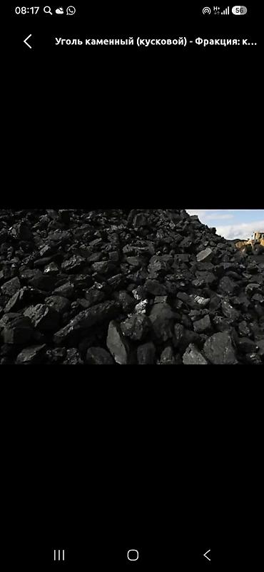 супер сундук: Уголь Кара-Кече - Марка: каменный уголь из месторождения Кара‑Кече - — 5
