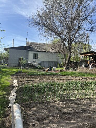 Продажа домов: Дом, 142 м², 5 комнат, Собственник, Косметический ремонт — 17