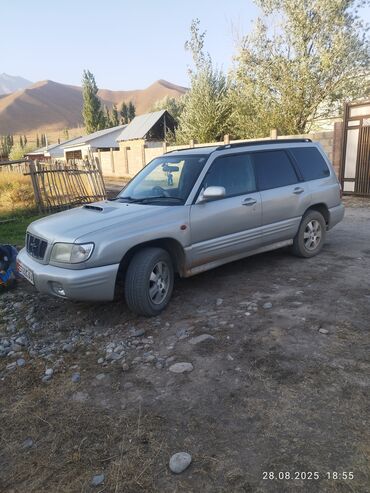 семиместные машины: Кроссовер Subaru Forester серебристого цвета с характерным дизайном и
