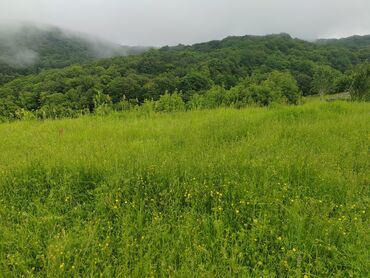 Torpaq sahələrinin satışı: 13 sot, Tikinti, Mülkiyyətçi, Kupça (Çıxarış) — 10