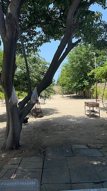 goradil: 10 sot, Mülkiyyətçi, Kupça (Çıxarış) — 4