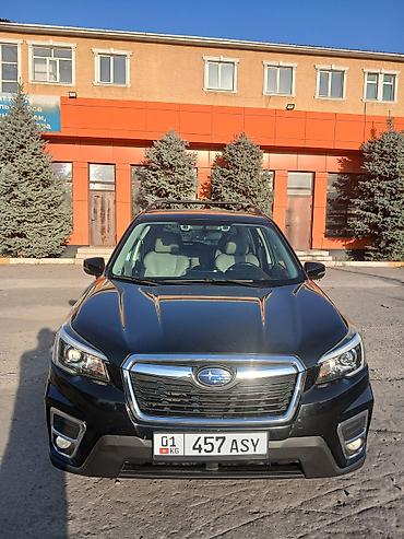 субара форес: Subaru Forester: 2019 г., 2.5 л, Вариатор, Бензин, Кроссовер — 1