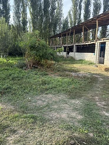 Коммерциялык кыймылсыз мүлктү сатуу: Продается земельный участок Сокулук село Первомайская с готовой — 3