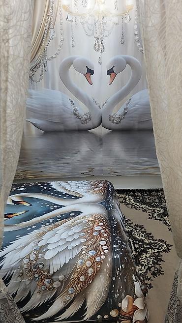 Продажа коттеджей и домов: Срочно продаётся дом- бизнес 80 кв.м. участок4.9 сот. по ул.элебесова — 12