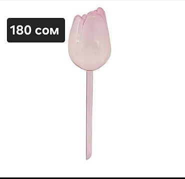 Аквариумы: Аквариумы и емкости для содержания черепах/мелких водных питомцев. 1) — 9