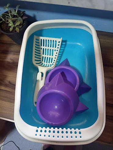 Pişik tualeti dəsti - Material: möhkəm plastik - Daxildir: - Qapalı