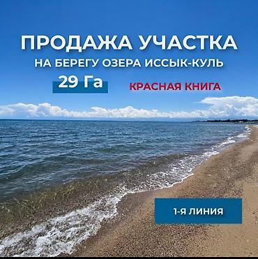 продажа домов село манас: 29 соток, Для бизнеса, Красная книга, Тех паспорт, Договор купли-продажи — 1